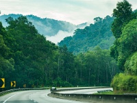 DSC2000  Surrounding Kuala Lumpur is sprawling primary rainforest.
